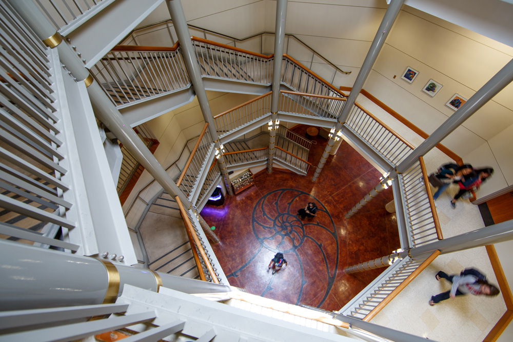 Image shows the nautilus design at the base of the stairs in brousseau hall