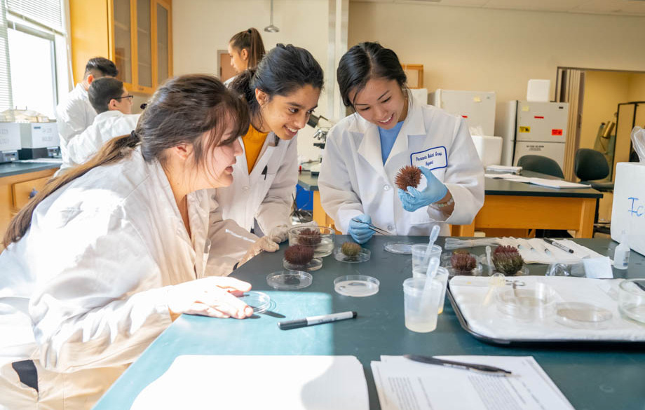 Three girls smiling while inspecting a sea anemone in a classroom.