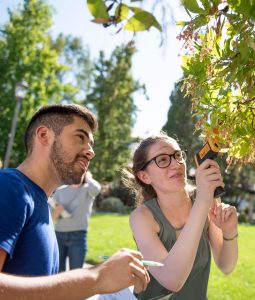 Two students using a gun like device to get a reading on bees in a tree