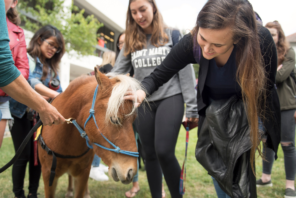 Students petting a horse