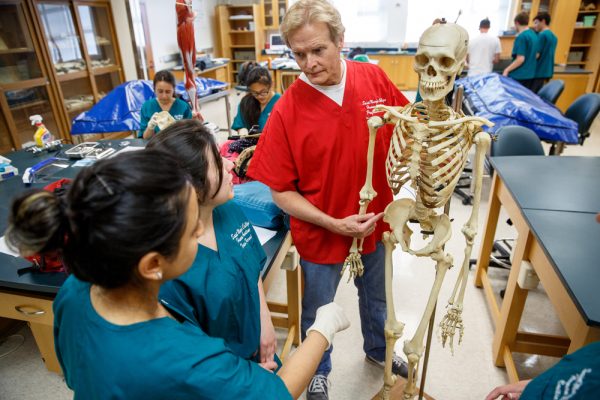 Professor showing students wearing scrubs a human skeleton